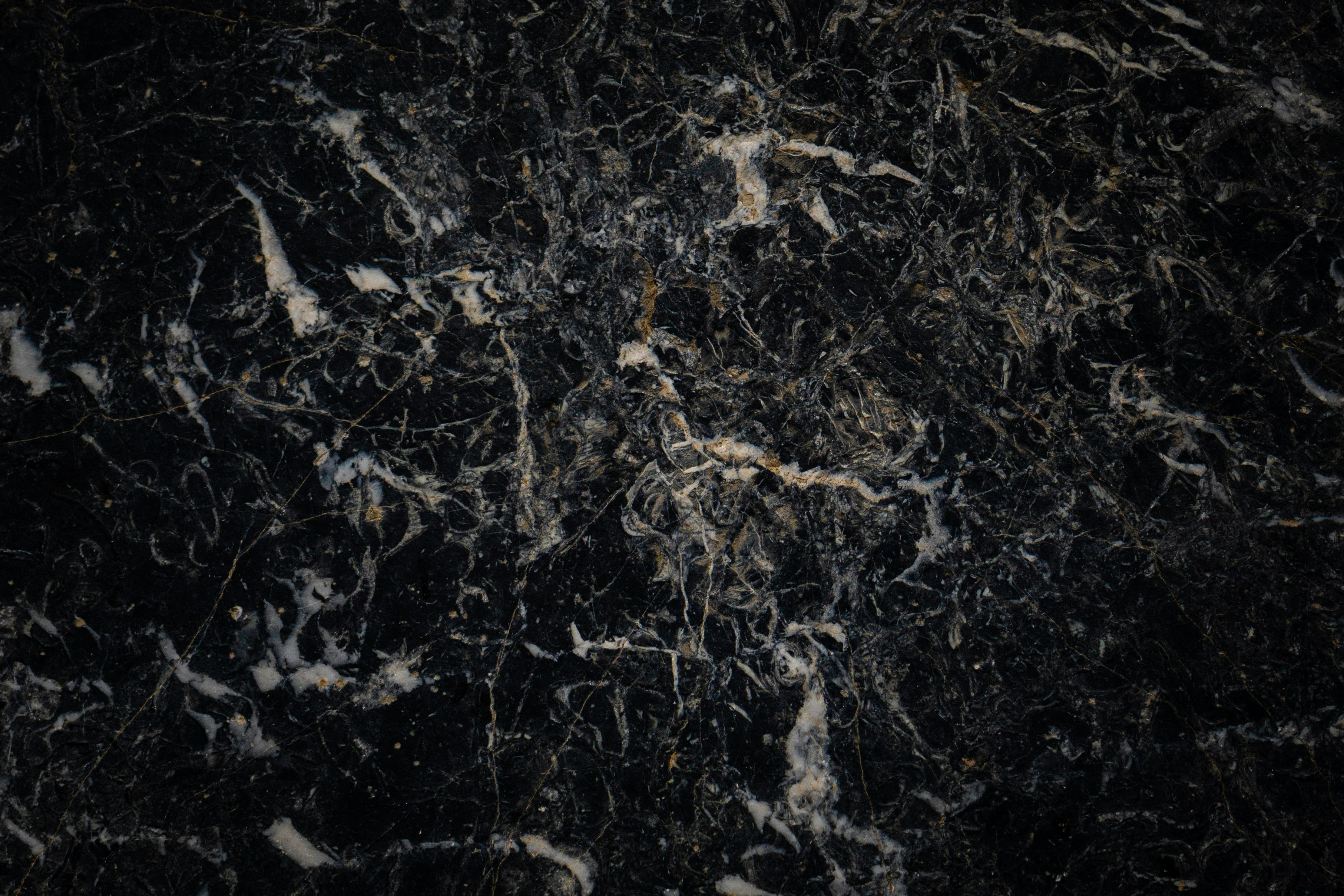 Black marble with white veining